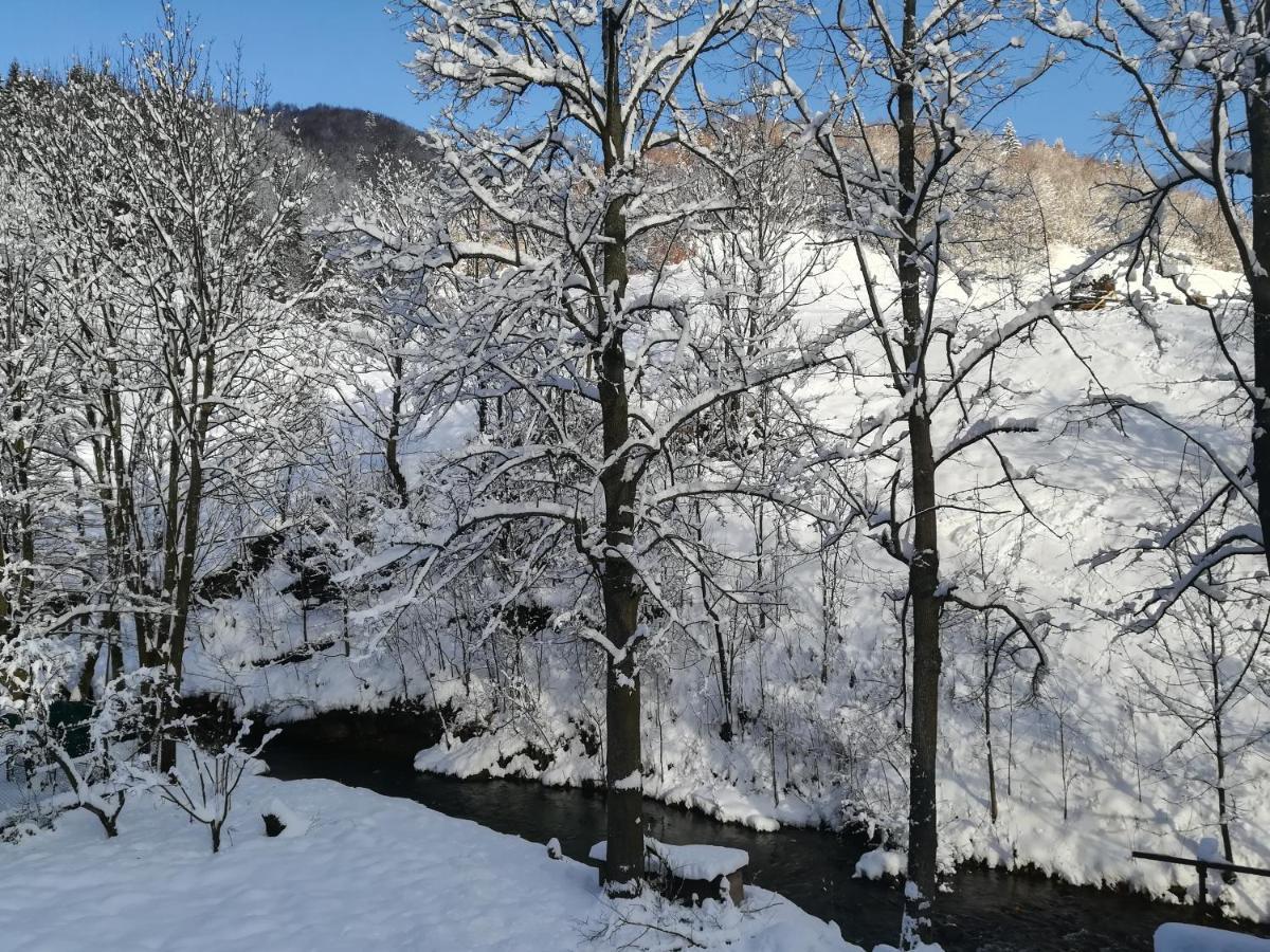 Wellness Privat Styri Lipy Villa Liptovske Revuce Bagian luar foto